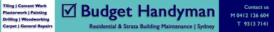 Handyman Carpet reapirs Sydney